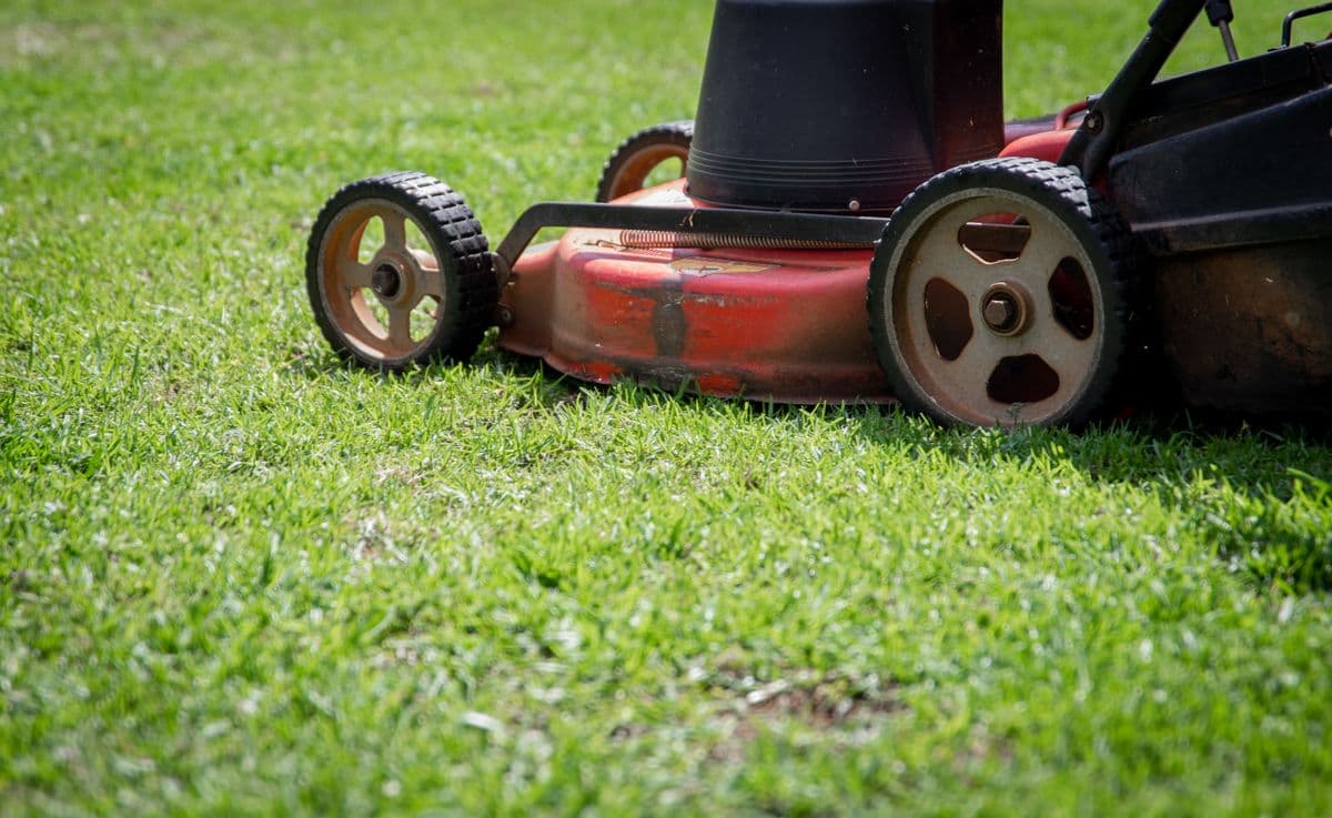 Lawn mowing